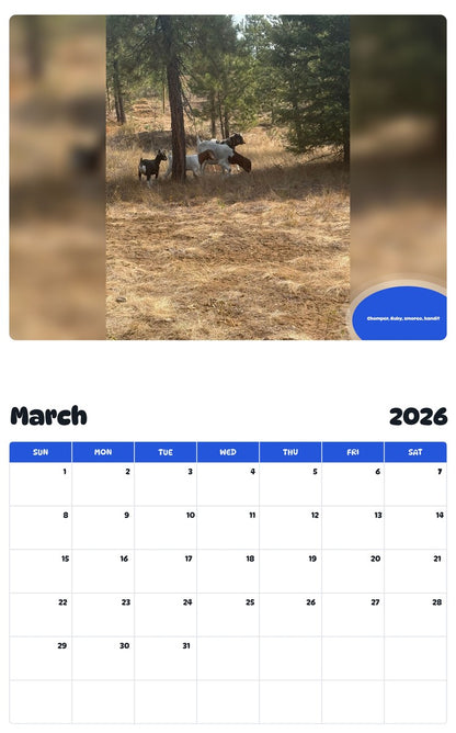 November 2025 - October 2026 Chomper, Ruby, smoreo, bandit - Pawidols Pet Calendar