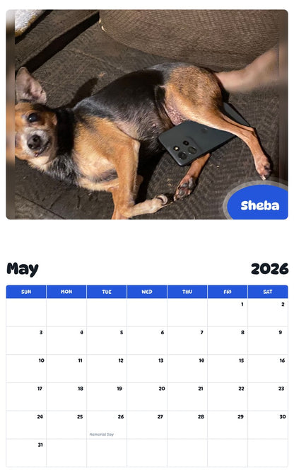 2026 - 2027 Sheba - Pawidols Pet Calendar