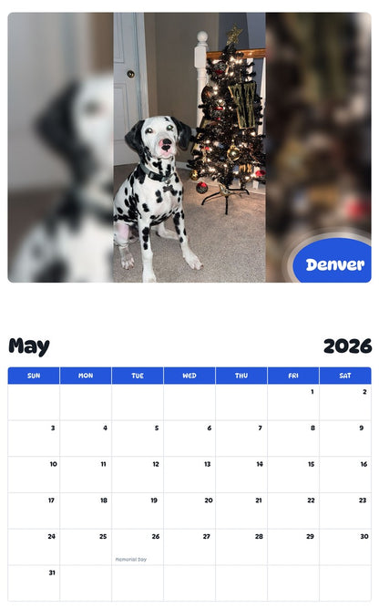 2026 - 2027 Denver - Pawidols Pet Calendar