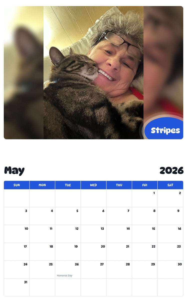 2026 - 2027 Stripes - Pawidols Pet Calendar