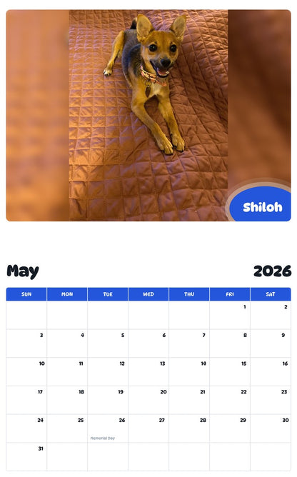 2026 - 2027 Shiloh - Pawidols Pet Calendar