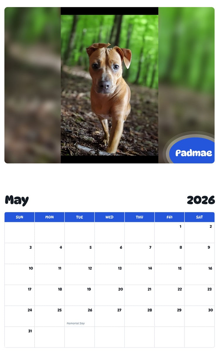2026 - 2027 Padmae - Pawidols Pet Calendar