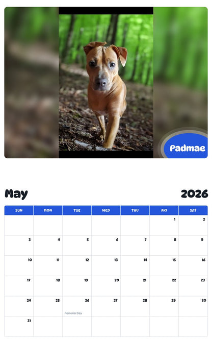 2026 - 2027 Padmae - Pawidols Pet Calendar