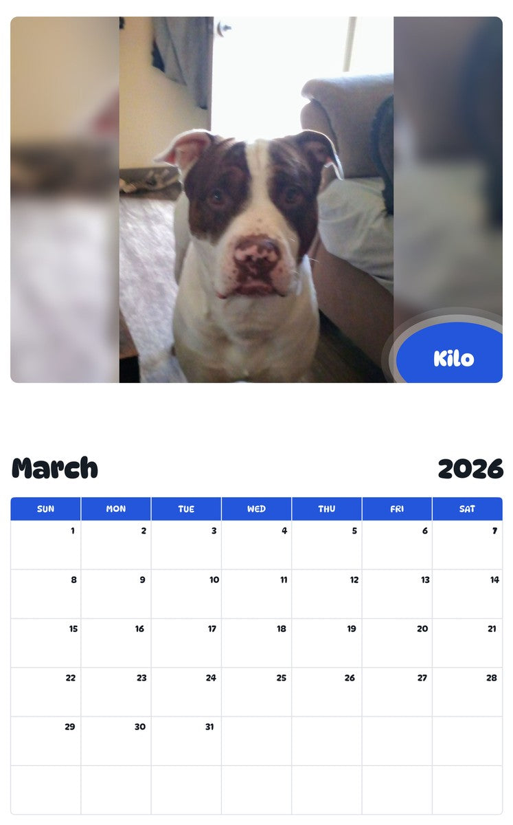 November 2025 - October 2026 Kilo - Pawidols Pet Calendar