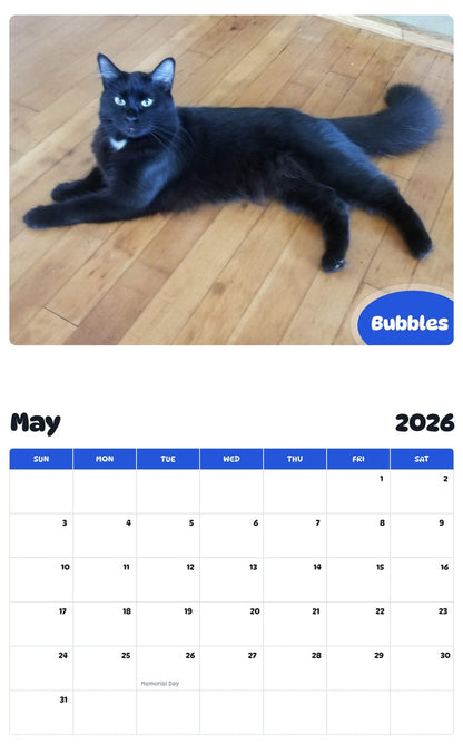 2026 - 2027 Bubbles - Pawidols Pet Calendar