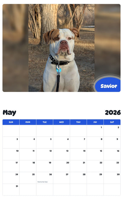 2026 - 2027 Savior - Pawidols Pet Calendar