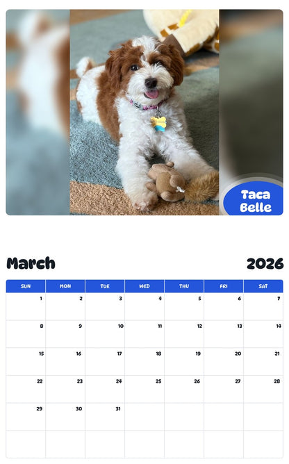 November 2025 - October 2026 Taca Belle - Pawidols Pet Calendar