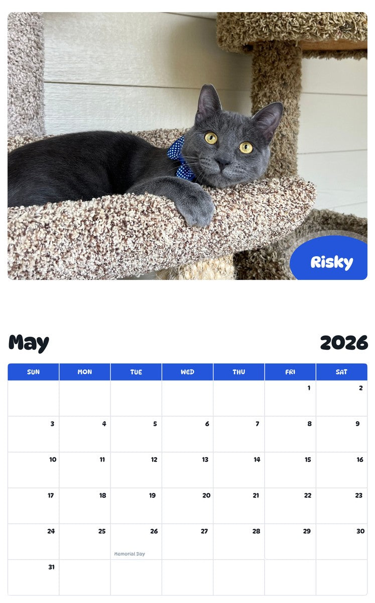 2026 - 2027 Risky - Pawidols Pet Calendar