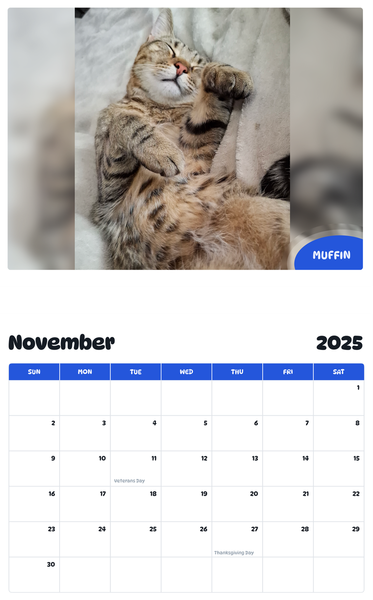 July 2025 - June 2026 Muffin - Pawidols Pet Calendar