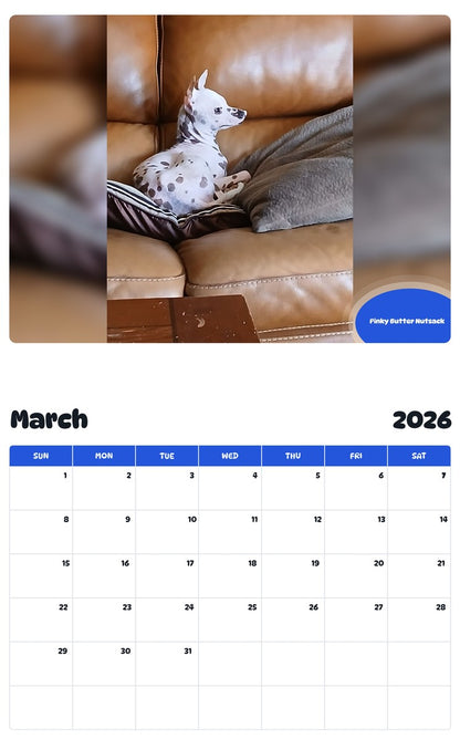 November 2025 - October 2026 Pinky Butter Nutsack - Pawidols Pet Calendar