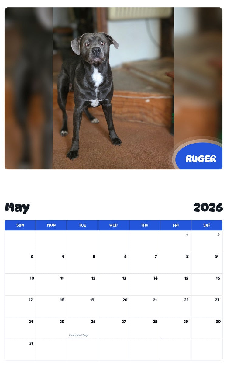 2026 - 2027 RUGER - Pawidols Pet Calendar