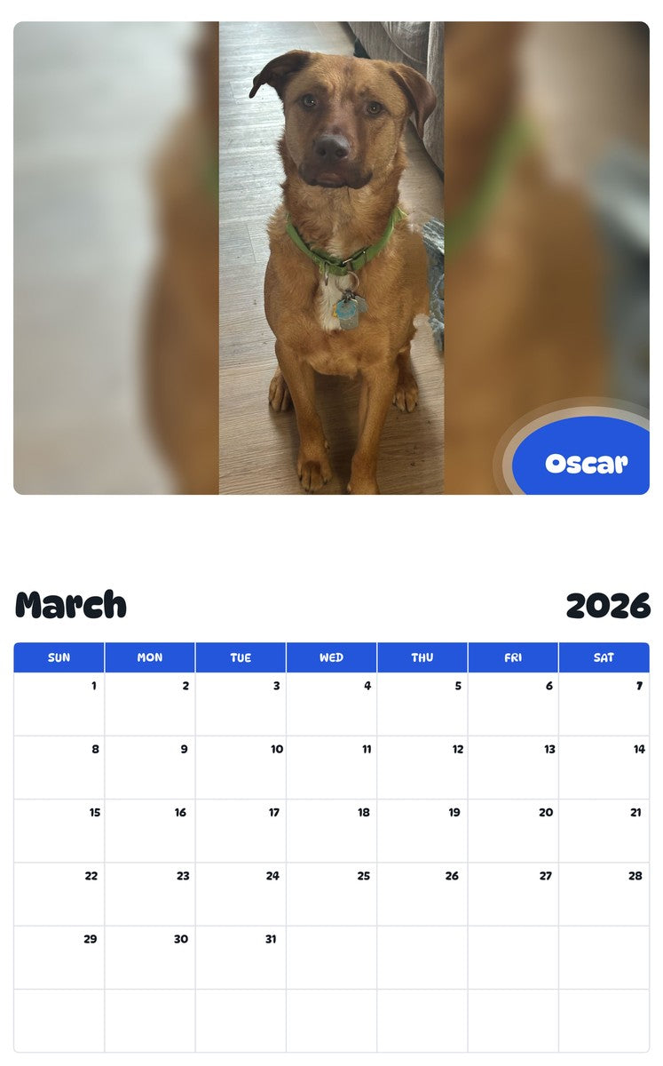 November 2025 - October 2026 Oscar - Pawidols Pet Calendar