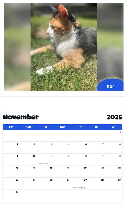July 2025 - June 2026 moe - Pawidols Pet Calendar