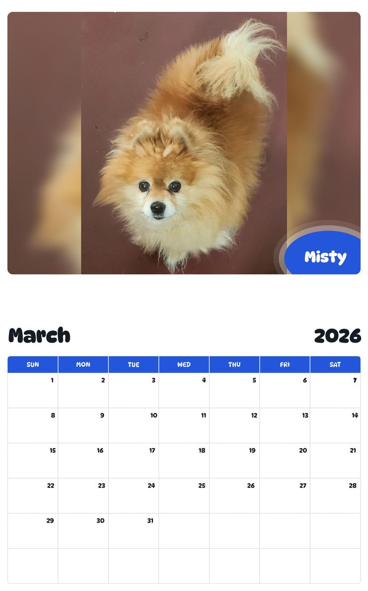 November 2025 - October 2026 Misty - Pawidols Pet Calendar