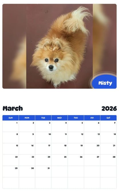 November 2025 - October 2026 Misty - Pawidols Pet Calendar