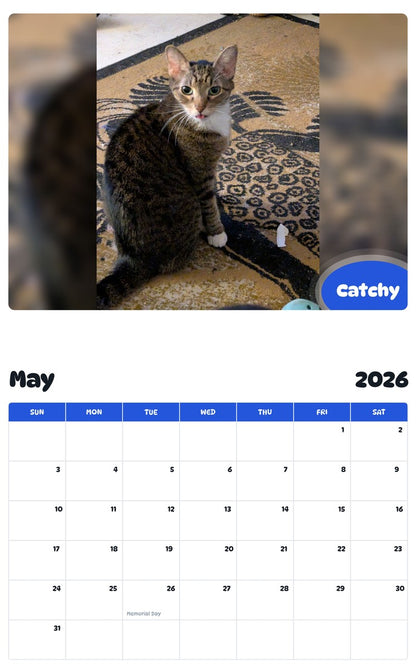 2026 - 2027 Catchy - Pawidols Pet Calendar