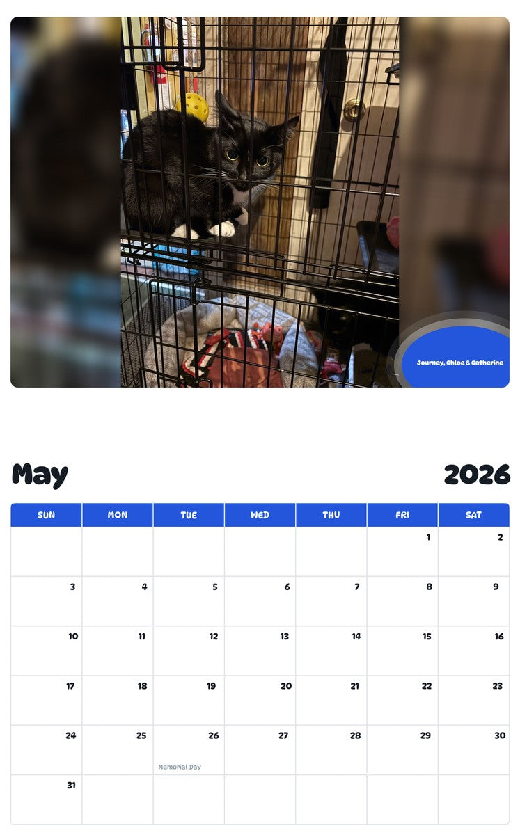 2026 - 2027 Journey, Chloe & Catherine - Pawidols Pet Calendar