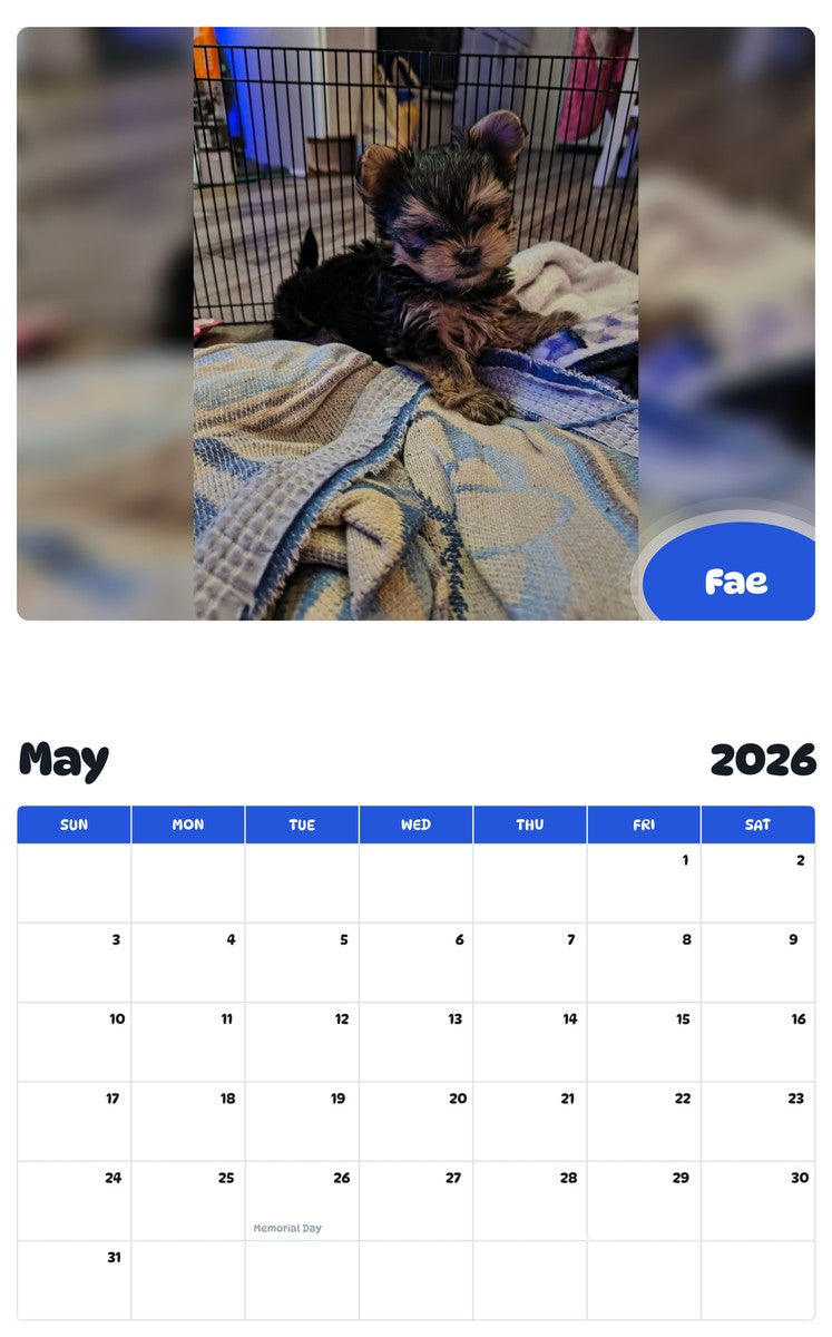 2026 - 2027 Fae - Pawidols Pet Calendar