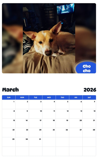 November 2025 - October 2026 Cho cho - Pawidols Pet Calendar