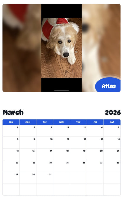 November 2025 - October 2026 Atlas - Pawidols Pet Calendar