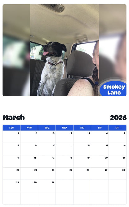 November 2025 - October 2026 Smokey Lane - Pawidols Pet Calendar
