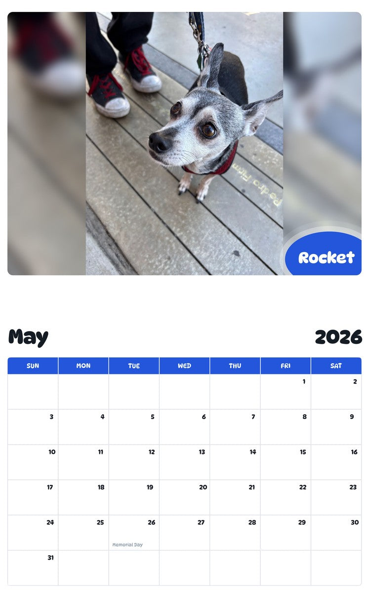 2026 - 2027 Rocket - Pawidols Pet Calendar