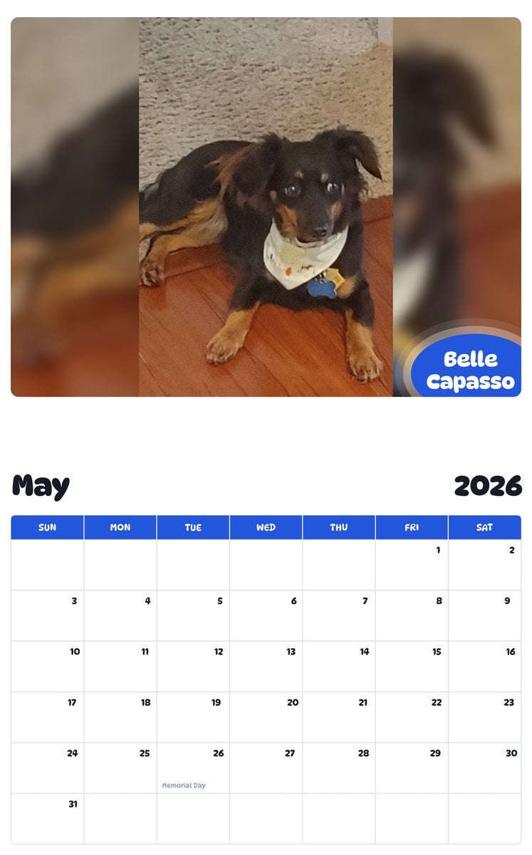 2026 - 2027 Belle  Capasso - Pawidols Pet Calendar