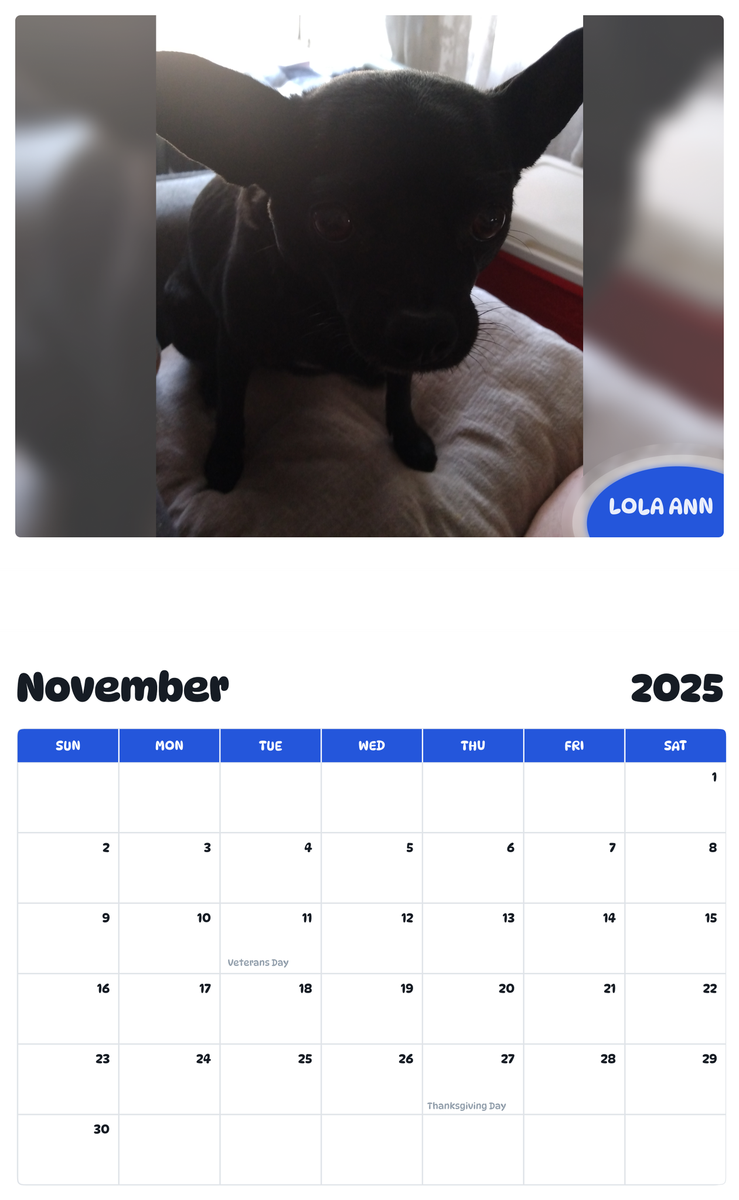 July 2025 - June 2026 Lola Ann - Pawidols Pet Calendar