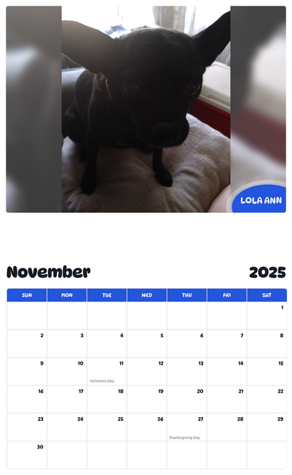 July 2025 - June 2026 Lola Ann - Pawidols Pet Calendar
