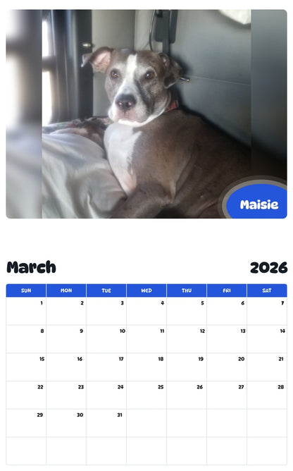 November 2025 - October 2026 Maisie - Pawidols Pet Calendar