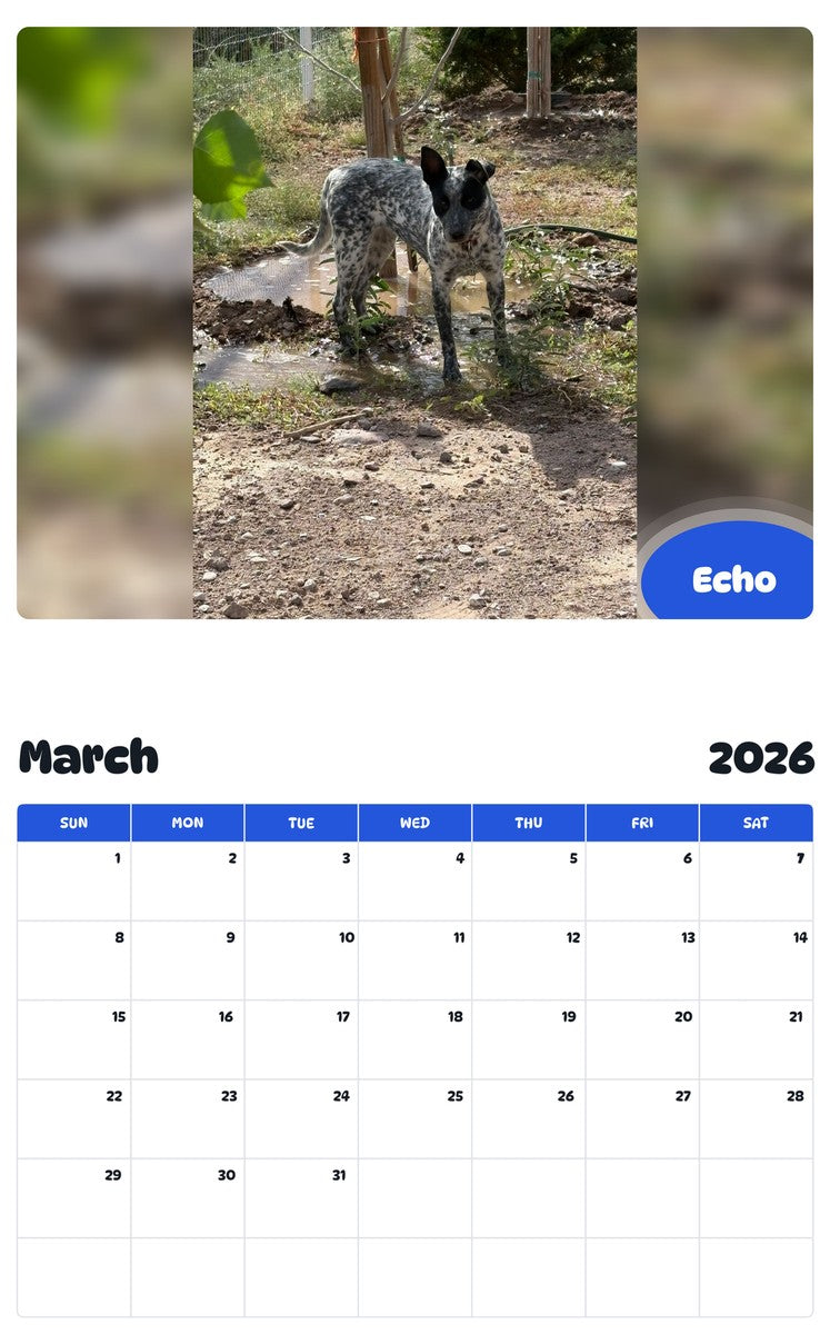 November 2025 - October 2026 Echo - Pawidols Pet Calendar