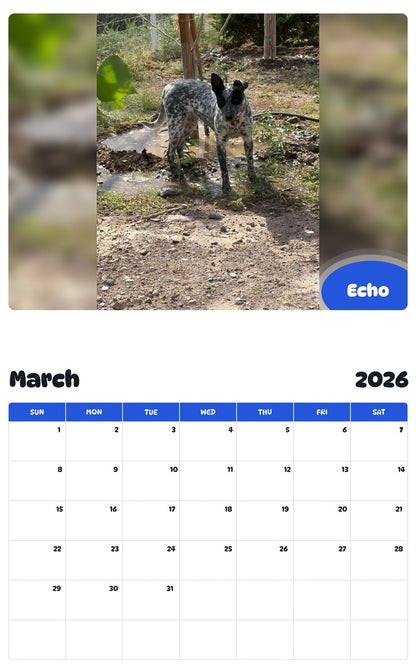 November 2025 - October 2026 Echo - Pawidols Pet Calendar