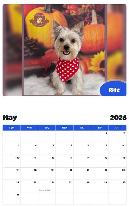 2026 - 2027 Ritz - Pawidols Pet Calendar
