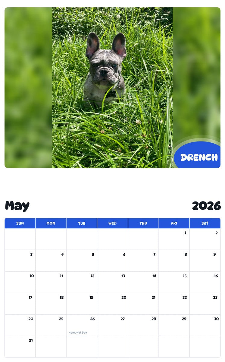 2026 - 2027 DRENCH - Pawidols Pet Calendar