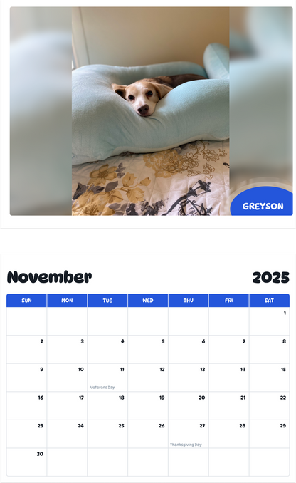 July 2025 - June 2026 Greyson - Pawidols Pet Calendar