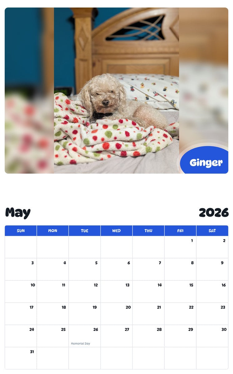2026 - 2027 Ginger - Pawidols Pet Calendar