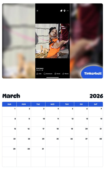 November 2025 - October 2026 Tinkerbell - Pawidols Pet Calendar