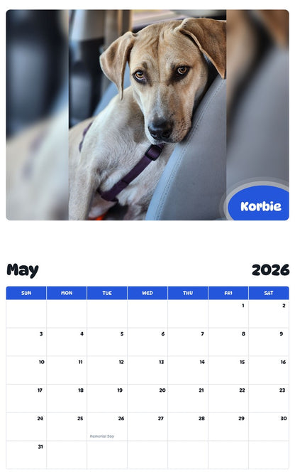 2026 - 2027 Korbie - Pawidols Pet Calendar