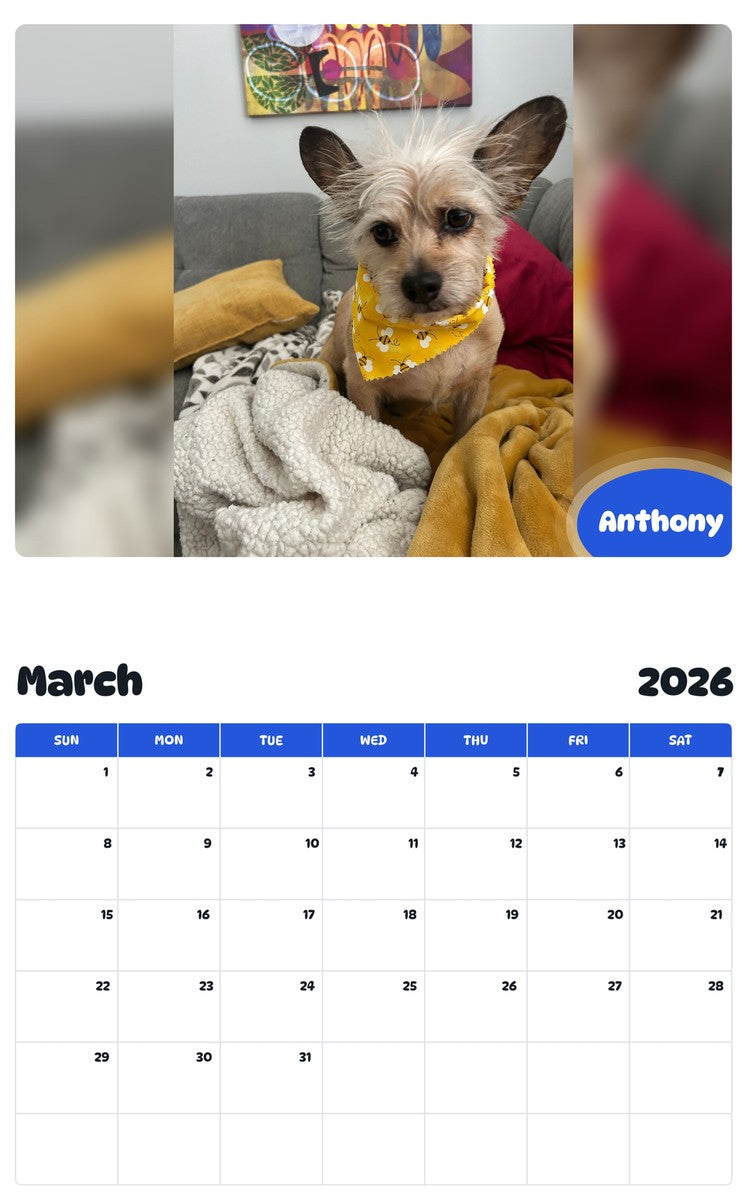 November 2025 - October 2026 Anthony - Pawidols Pet Calendar