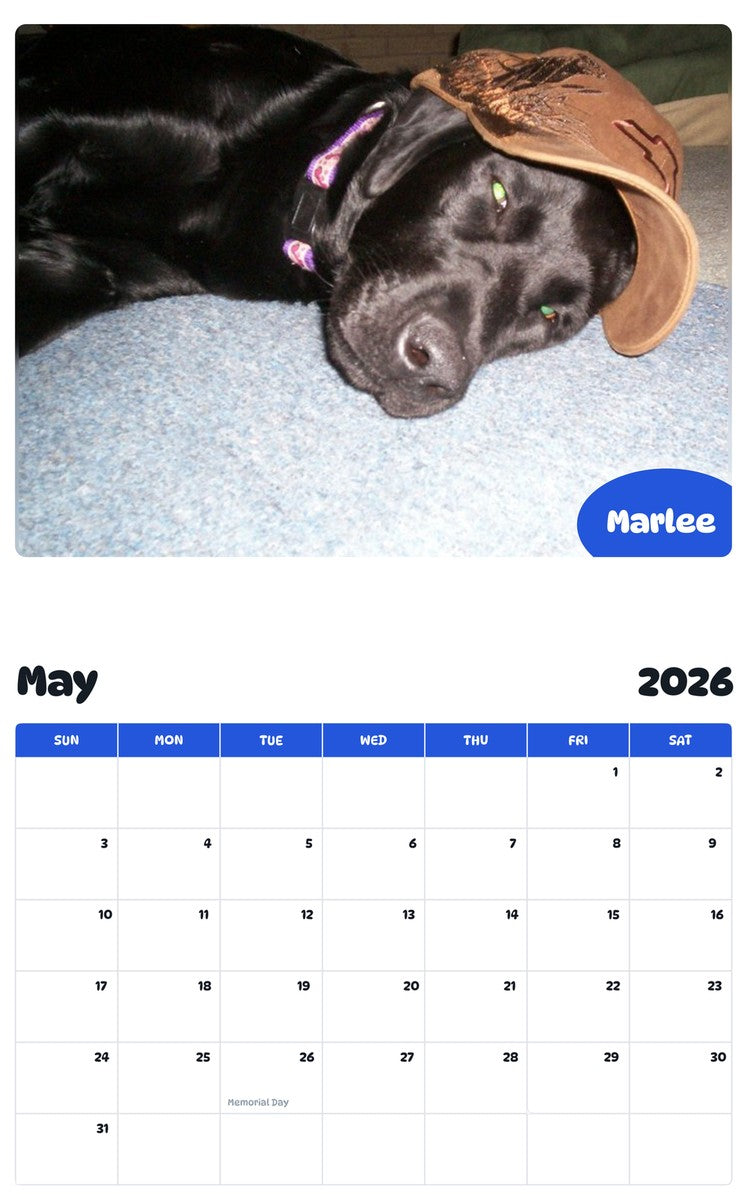 2026 - 2027 Marlee - Pawidols Pet Calendar