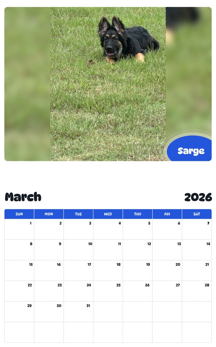 November 2025 - October 2026 Sarge - Pawidols Pet Calendar