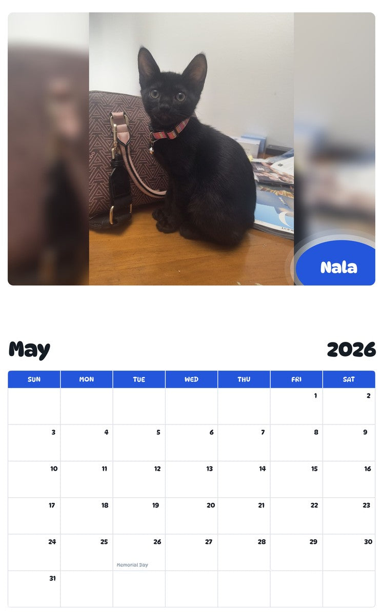 2026 - 2027 Nala - Pawidols Pet Calendar