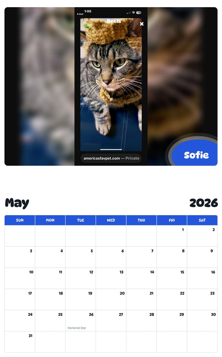 2026 - 2027 Sofie - Pawidols Pet Calendar