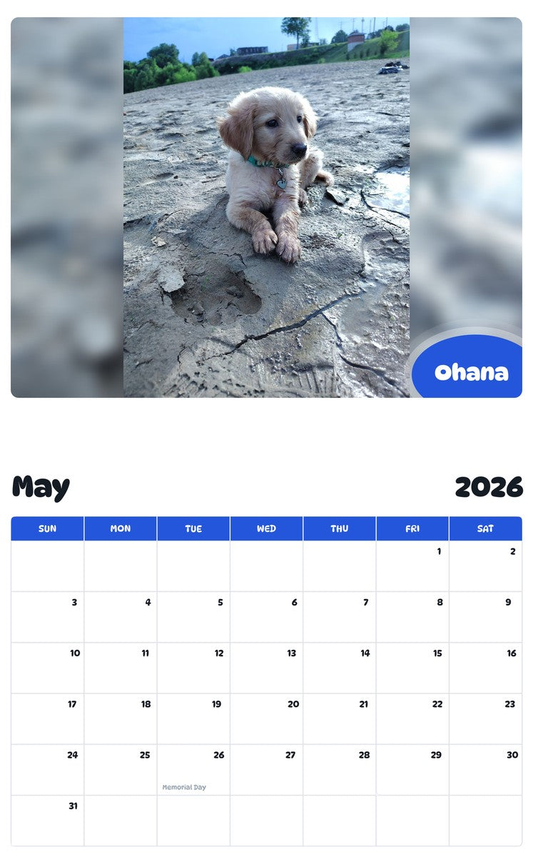 2026 - 2027 Ohana - Pawidols Pet Calendar