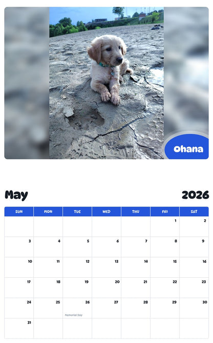 2026 - 2027 Ohana - Pawidols Pet Calendar
