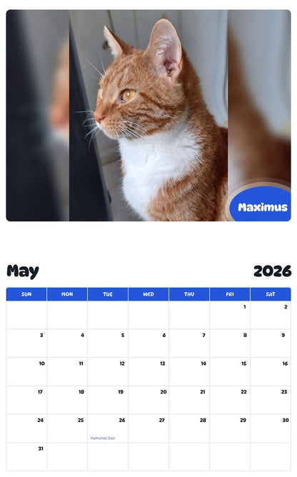 2026 - 2027 Maximus - Pawidols Pet Calendar