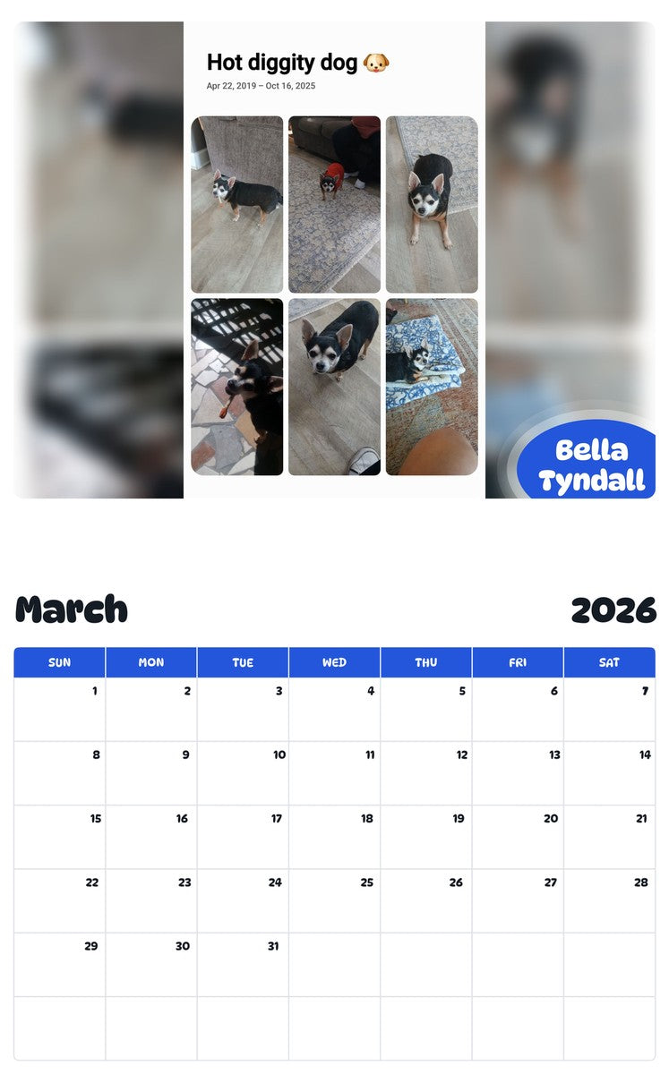 November 2025 - October 2026 Bella Tyndall - Pawidols Pet Calendar