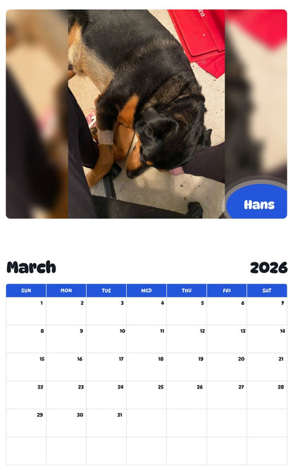 November 2025 - October 2026 Hans - Pawidols Pet Calendar