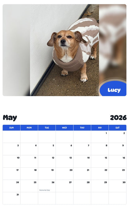 2026 - 2027 Lucy - Pawidols Pet Calendar