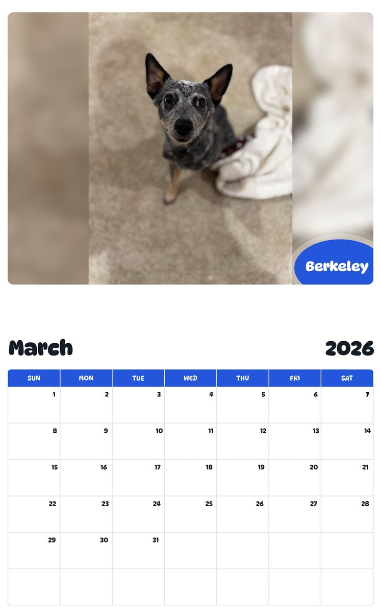 November 2025 - October 2026 Berkeley - Pawidols Pet Calendar